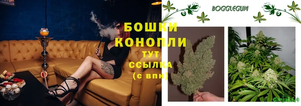 герыч Козельск