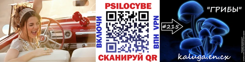 где купить   Красноуральск  Псилоцибиновые грибы Psilocybine cubensis 